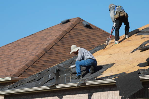 Best Roof Ventilation Installation  in Cedar Heights, MD